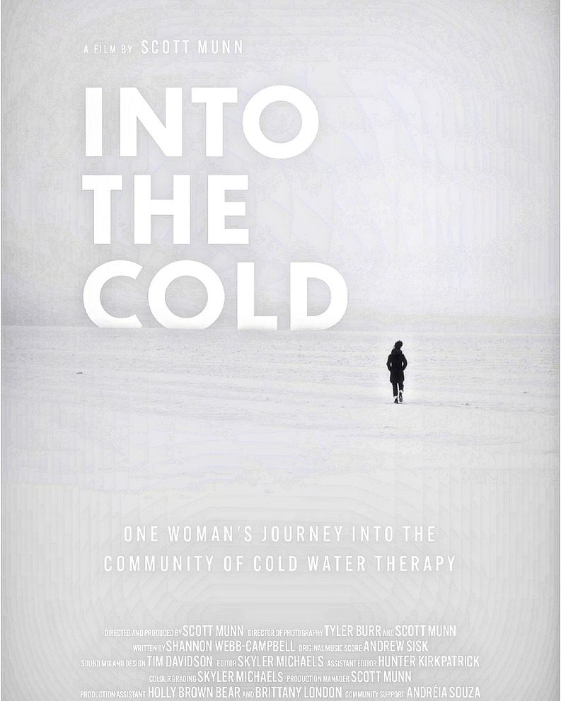 Into the Cold poster